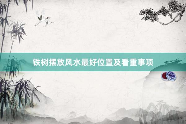 铁树摆放风水最好位置及看重事项